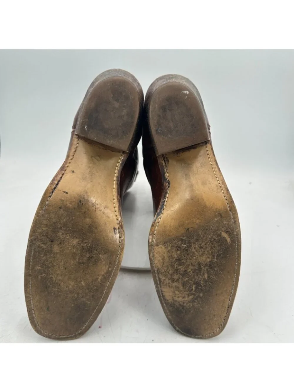 dingo size 12